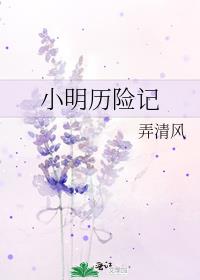 小明历险记作文400字