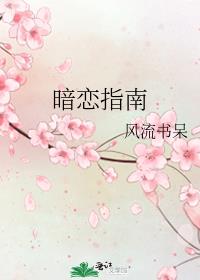 顶级攻略[穿书