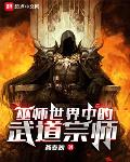 巫师世界中的武道宗师