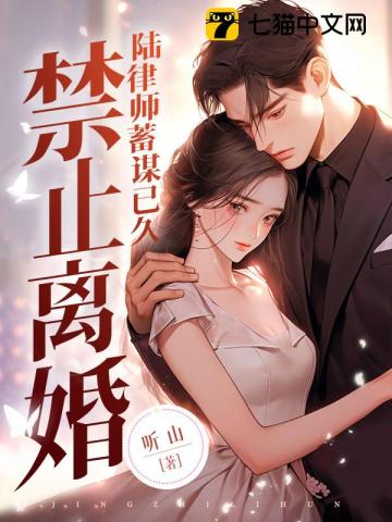 陆律师离过婚