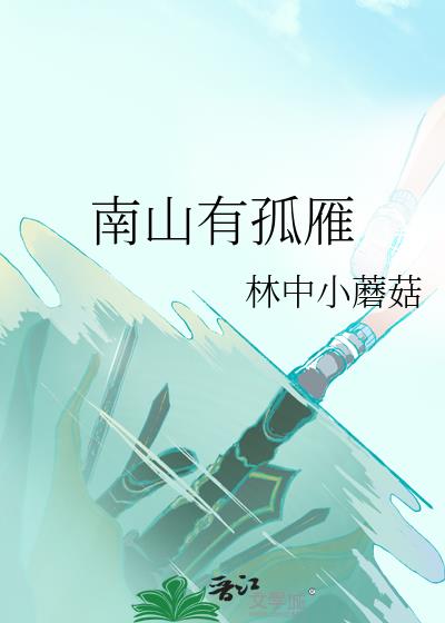 孤雁南飞什么意思