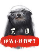 爷会飞格格党