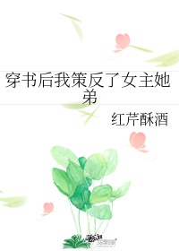 穿书后我策反了女主她弟全文免费