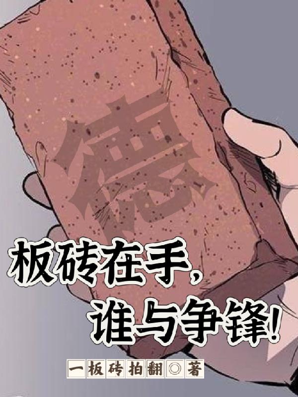 板砖使用技巧