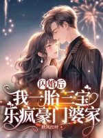 闪婚后，我一胎三宝乐疯豪门婆家